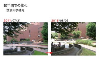 数年間での変化
筑波大学構内
2011/07/31 2015/08/02
 