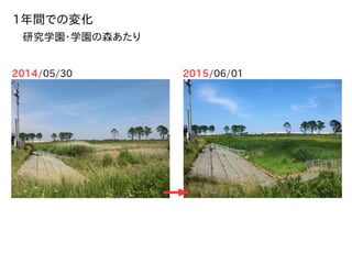 2014/05/30 2015/06/01
1年間での変化
研究学園・学園の森あたり
 