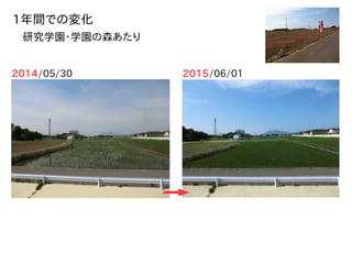 2014/05/30 2015/06/01
1年間での変化
研究学園・学園の森あたり
 