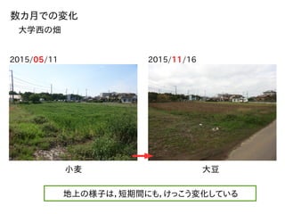 2015/05/11 2015/11/16
数カ月での変化
大学西の畑
小麦 大豆
地上の様子は，短期間にも，けっこう変化している
 