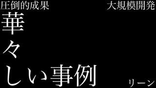 しい事例
々
華
圧倒的成果
リーン
大規模開発
 