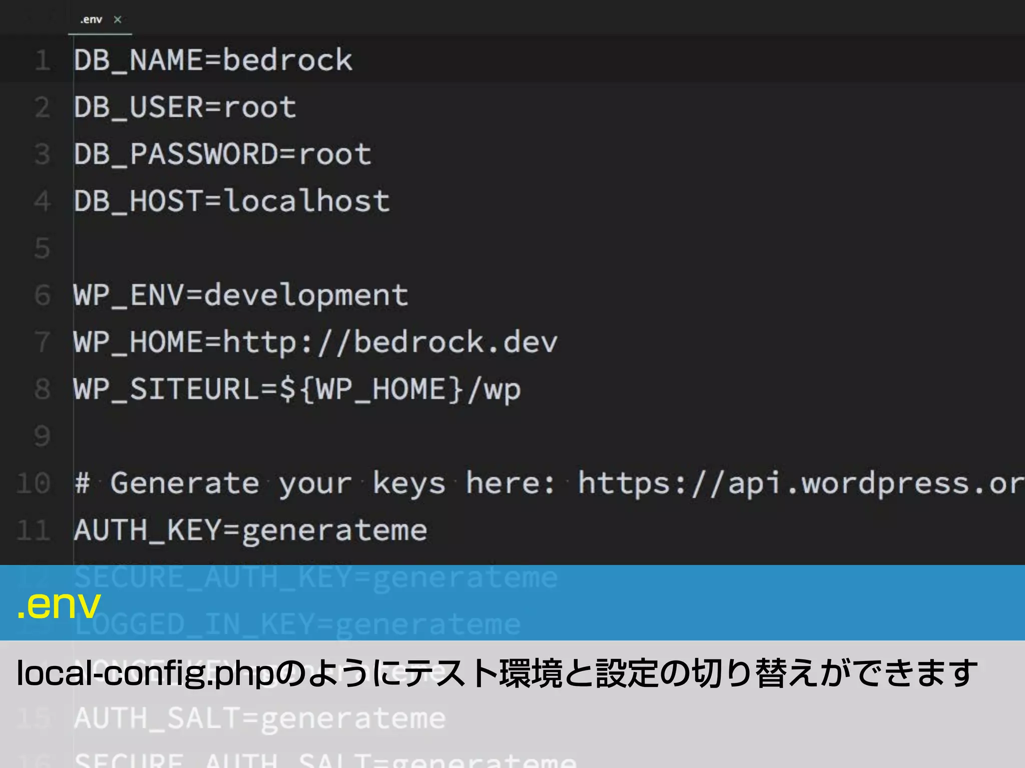.env
local-conﬁg.phpのようにテスト環境と設定の切り替えができます
 