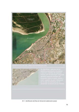 79
AI1.1. Identificación del Área de Intervención (elaboración propia)
 