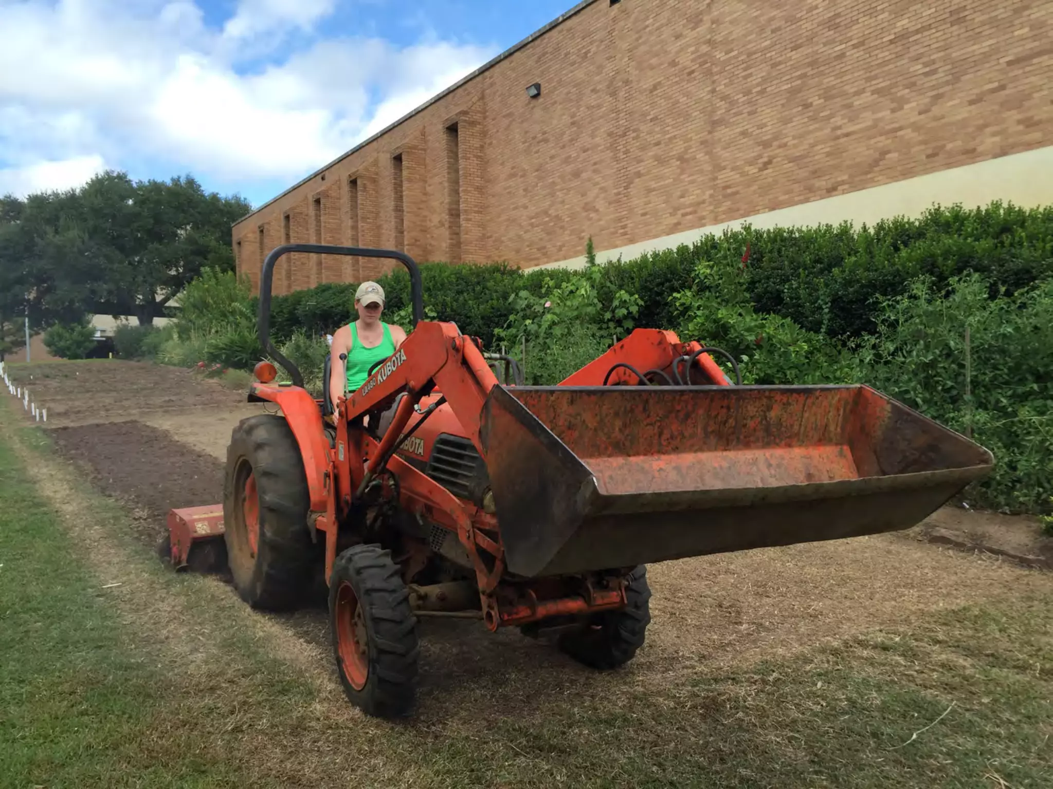Bloomin' Hydrangeas: The Perfect Host for a Garden Soiree