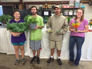 Bloomin' Hydrangeas: The Perfect Host for a Garden Soiree