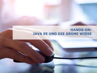 © Lynx-Consulting GmbH | www.lynx.de39
HANDS-ON:
JAVA EE UND DIE GRÜNE WIESE
 