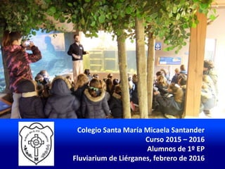 Colegio Santa María Micaela Santander
Curso 2015 – 2016
Alumnos de 1º EP
Fluviarium de Liérganes, febrero de 2016
 