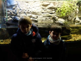 Fluviarium de Liérganes - 1º EP - Feb 2016
 