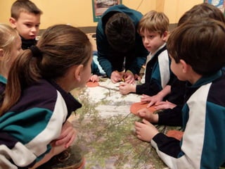 Fluviarium de Liérganes - 1º EP - Feb 2016
 