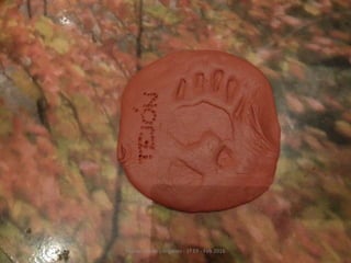 Fluviarium de Liérganes - 1º EP - Feb 2016
 