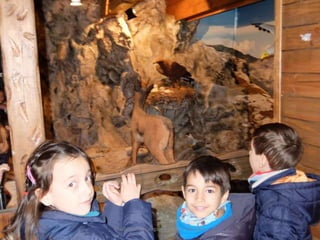 Fluviarium de Liérganes - 1º EP - Feb 2016
 