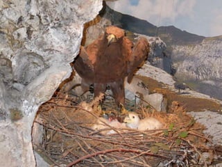 Fluviarium de Liérganes - 1º EP - Feb 2016
 