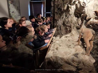 Fluviarium de Liérganes - 1º EP - Feb 2016
 