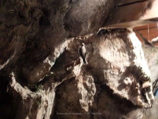 Fluviarium de Liérganes - 1º EP - Feb 2016
 