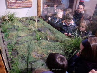 Fluviarium de Liérganes - 1º EP - Feb 2016
 