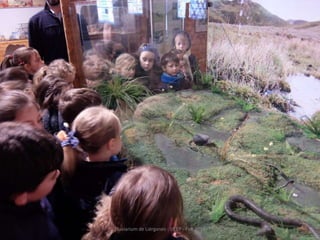 Fluviarium de Liérganes - 1º EP - Feb 2016
 