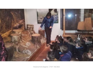 Fluviarium de Liérganes - 1º EP - Feb 2016
 