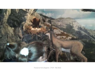 Fluviarium de Liérganes - 1º EP - Feb 2016
 