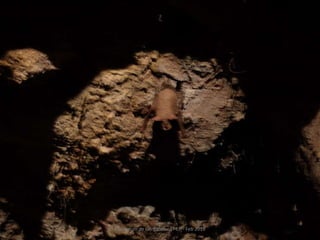 Fluviarium de Liérganes - 1º EP - Feb 2016
 