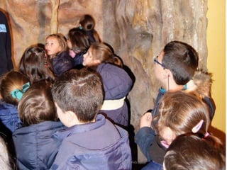 Fluviarium de Liérganes - 1º EP - Feb 2016
 