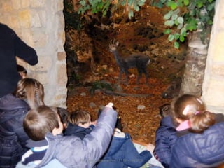 Fluviarium de Liérganes - 1º EP - Feb 2016
 