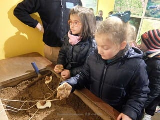 Fluviarium de Liérganes - 1º EP - Feb 2016
 