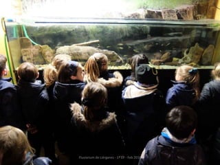 Fluviarium de Liérganes - 1º EP - Feb 2016
 
