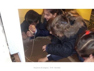 Fluviarium de Liérganes - 1º EP - Feb 2016
 