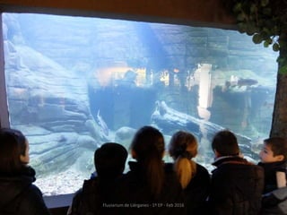 Fluviarium de Liérganes - 1º EP - Feb 2016
 