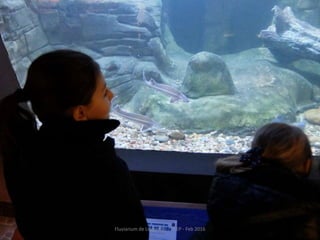 Fluviarium de Liérganes - 1º EP - Feb 2016
 