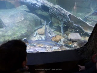 Fluviarium de Liérganes - 1º EP - Feb 2016
 