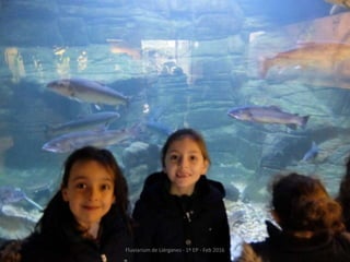 Fluviarium de Liérganes - 1º EP - Feb 2016
 