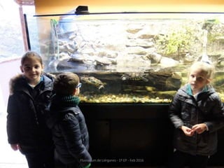 Fluviarium de Liérganes - 1º EP - Feb 2016
 