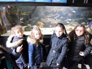 Fluviarium de Liérganes - 1º EP - Feb 2016
 