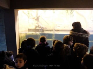 Fluviarium de Liérganes - 1º EP - Feb 2016
 