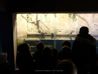 Fluviarium de Liérganes - 1º EP - Feb 2016
 