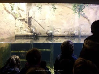 Fluviarium de Liérganes - 1º EP - Feb 2016
 