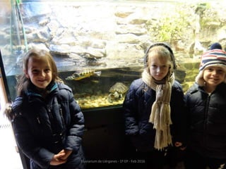 Fluviarium de Liérganes - 1º EP - Feb 2016
 