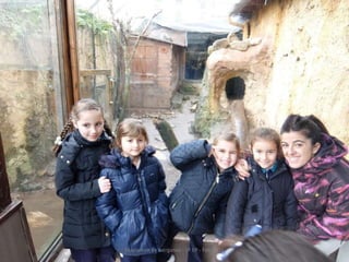 Fluviarium de Liérganes - 1º EP - Feb 2016
 