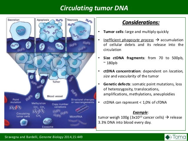20160219 livia marcato cell free dna and liquid biopsy fetal circulation chart exercise 32