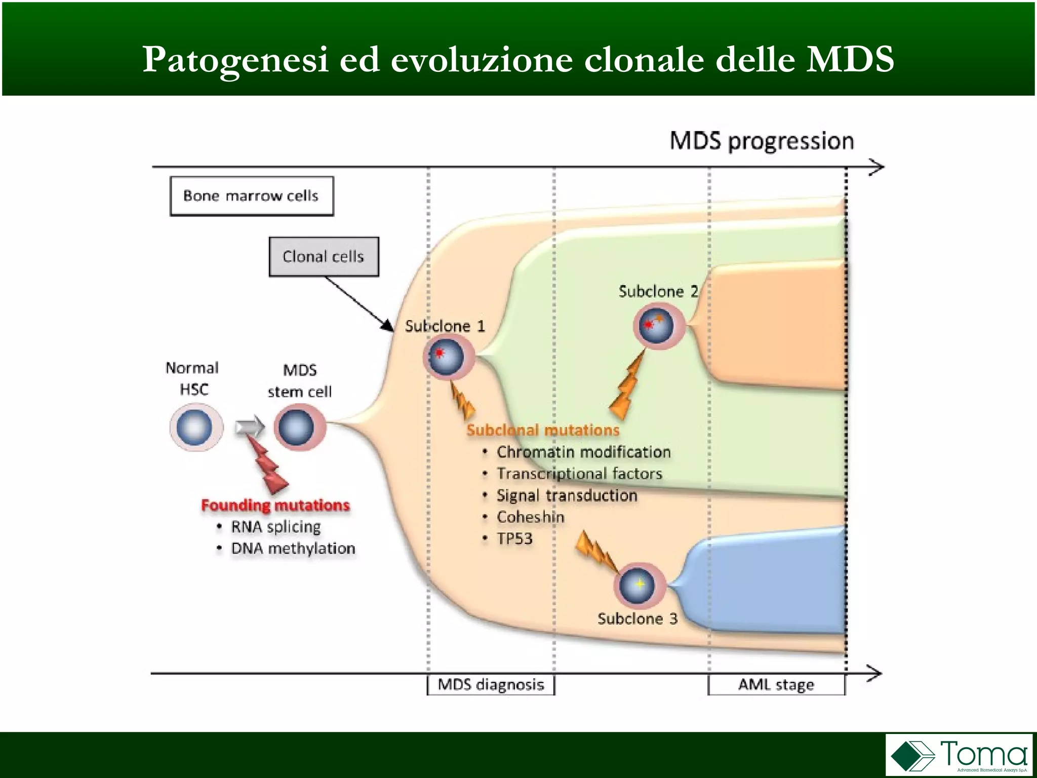 Patogenesi ed evoluzione clonale delle MDS
 