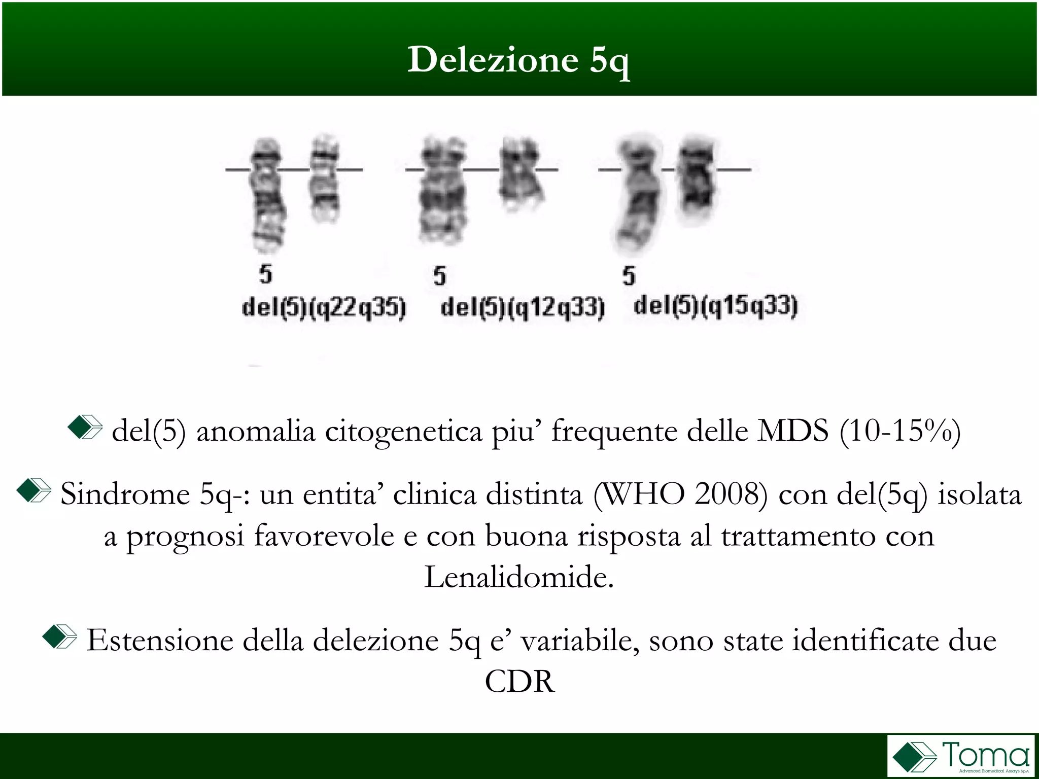 Delezione 5q
del(5) anomalia citogenetica piu’ frequente delle MDS (10-15%)
Sindrome 5q-: un entita’ clinica distinta (WHO 2008) con del(5q) isolata
a prognosi favorevole e con buona risposta al trattamento con
Lenalidomide.
Estensione della delezione 5q e’ variabile, sono state identificate due
CDR
 