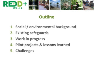 Safeguards in REDD+ implementation in Fiji