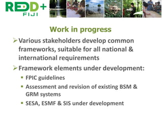 Safeguards in REDD+ implementation in Fiji