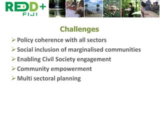 Safeguards in REDD+ implementation in Fiji