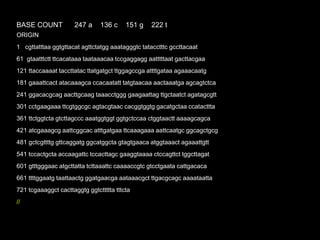 BASE COUNT 247 a 136 c 151 g 222 t
ORIGIN
1 cgttatttaa ggtgttacat agttctatgg aaatagggtc tatacctttc gccttacaat
61 gtaatttctt ttcacataaa taataaacaa tccgaggagg aatttttaat gacttacgaa
121 ttaccaaaat taccttatac ttatgatgct ttggagccga attttgataa agaaacaatg
181 gaaattcact atacaaagca ccacaatatt tatgtaacaa aactaaatga agcagtctca
241 ggacacgcag aacttgcaag taaacctggg gaagaattag ttgctaatct agatagcgtt
301 cctgaagaaa ttcgtggcgc agtacgtaac cacggtggtg gacatgctaa ccatacttta
361 ttctggtcta gtcttagccc aaatggtggt ggtgctccaa ctggtaactt aaaagcagca
421 atcgaaagcg aattcggcac atttgatgaa ttcaaagaaa aattcaatgc ggcagctgcg
481 gctcgttttg gttcaggatg ggcatggcta gtagtgaaca atggtaaact agaaattgtt
541 tccactgcta accaagattc tccacttagc gaaggtaaaa ctccagttct tggcttagat
601 gtttgggaac atgcttatta tcttaaattc caaaaccgtc gtcctgaata cattgacaca
661 ttttggaatg taattaactg ggatgaacga aataaacgct ttgacgcagc aaaataatta
721 tcgaaaggct cacttaggtg ggtcttttta tttcta
//
 