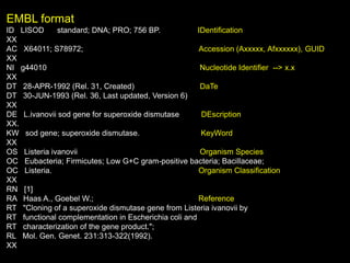 EMBL format
ID LISOD standard; DNA; PRO; 756 BP. IDentification
XX
AC X64011; S78972; Accession (Axxxxx, Afxxxxxx), GUID
XX
NI g44010 Nucleotide Identifier --> x.x
XX
DT 28-APR-1992 (Rel. 31, Created) DaTe
DT 30-JUN-1993 (Rel. 36, Last updated, Version 6)
XX
DE L.ivanovii sod gene for superoxide dismutase DEscription
XX.
KW sod gene; superoxide dismutase. KeyWord
XX
OS Listeria ivanovii Organism Species
OC Eubacteria; Firmicutes; Low G+C gram-positive bacteria; Bacillaceae;
OC Listeria. Organism Classification
XX
RN [1]
RA Haas A., Goebel W.; Reference
RT "Cloning of a superoxide dismutase gene from Listeria ivanovii by
RT functional complementation in Escherichia coli and
RT characterization of the gene product.";
RL Mol. Gen. Genet. 231:313-322(1992).
XX
 