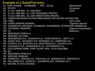 Example of a SwissProt entry
ID TNFA_HUMAN STANDARD; PRT; 233 AA. IDentification
AC P01375; ACcession
DT 21-JUL-1986 (REL. 01, CREATED) DaTe
DT 21-JUL-1986 (REL. 01, LAST SEQUENCE UPDATE)
DT 15-JUL-1998 (REL. 36, LAST ANNOTATION UPDATE)
DE TUMOR NECROSIS FACTOR PRECURSOR (TNF-ALPHA) (CACHECTIN).
GN TNFA. Gene name
OS HOMO SAPIENS (HUMAN). Organism Species
OC EUKARYOTA; METAZOA; CHORDATA; VERTEBRATA; TETRAPODA; MAMMALIA;
OC EUTHERIA; PRIMATES. Organism Classification
RN [1] Reference
RP SEQUENCE FROM N.A.
RX MEDLINE; 87217060.
RA NEDOSPASOV S.A., SHAKHOV A.N., TURETSKAYA R.L., METT V.A.,
RA AZIZOV M.M., GEORGIEV G.P., KOROBKO V.G., DOBRYNIN V.N.,
RA FILIPPOV S.A., BYSTROV N.S., BOLDYREVA E.F., CHUVPILO S.A.,
RA CHUMAKOV A.M., SHINGAROVA L.N., OVCHINNIKOV Y.A.;
RL COLD SPRING HARB. SYMP. QUANT. BIOL. 51:611-624(1986).
RN [2]
RP SEQUENCE FROM N.A.
RX MEDLINE; 85086244.
RA PENNICA D., NEDWIN G.E., HAYFLICK J.S., SEEBURG P.H., DERYNCK R.,
RA PALLADINO M.A., KOHR W.J., AGGARWAL B.B., GOEDDEL D.V.;
RL NATURE 312:724-729(1984).
...
 
