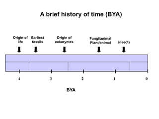 4 3 2 1 0
A brief history of time (BYA)
Origin of
life
Origin of
eukaryotes insects
Fungi/animal
Plant/animal
Earliest
fossils
BYA
 