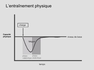 L’entraînement physique
Capacité
physique
 